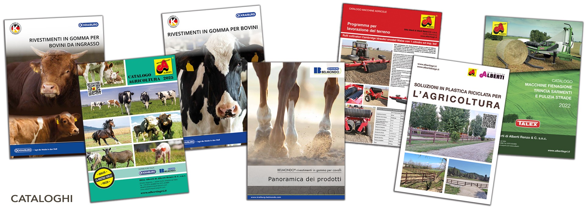 Cataloghi Alberti in formato pdf da scaricare